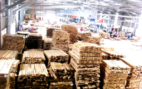 Giới thiệu ngành gỗ Việt Nam